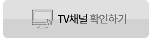 인터넷tv결합상품